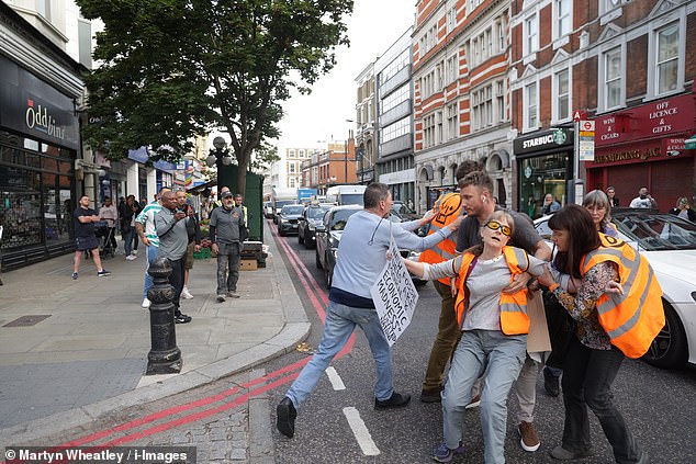 The group were briefly removed from the road by the public but it took the police to stop them