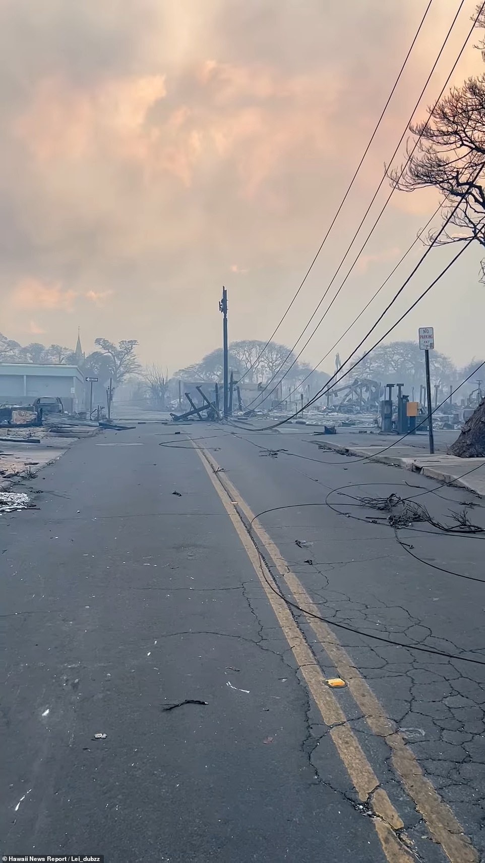 The town of Lahaina is all but destroyed. Devastating videos showed desperate residents jumping into the harbor to avoid the flames last night
