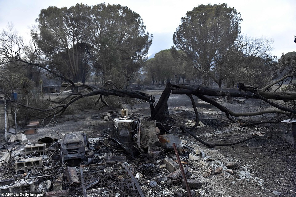 A burnt tree split in half is seen in the remains of a burnt-out house in the aftermath of the wildfire in Saint-Andre, southern France, on Tuesday