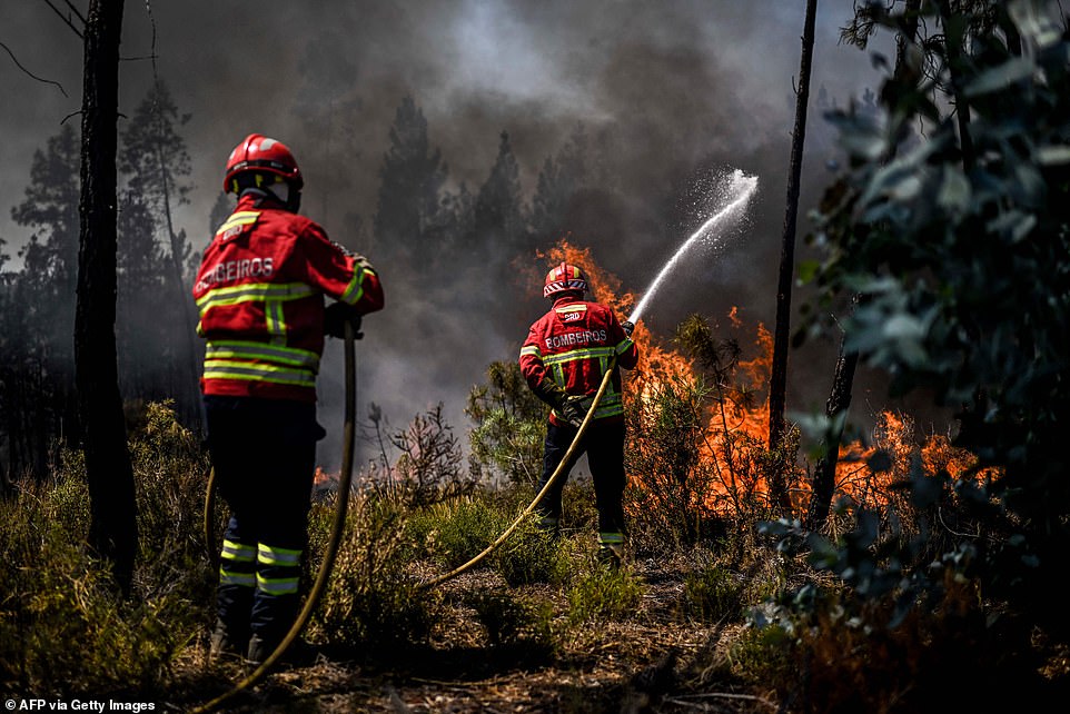 Wildfires have ravaged countries across southern Europe this summer, forcing thousands to be evacuated and thousands more to cancel their holidays. Pictured: Firefighters tackle a wildfire in Carrascal in Portugal on August 6