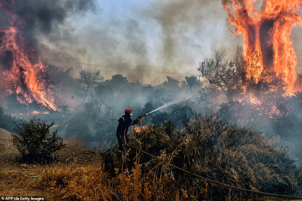 A fireman douses flames on a wildfire at Panorama settlement near Agioi Theodori, some 70 kms west of Athens on July 18
