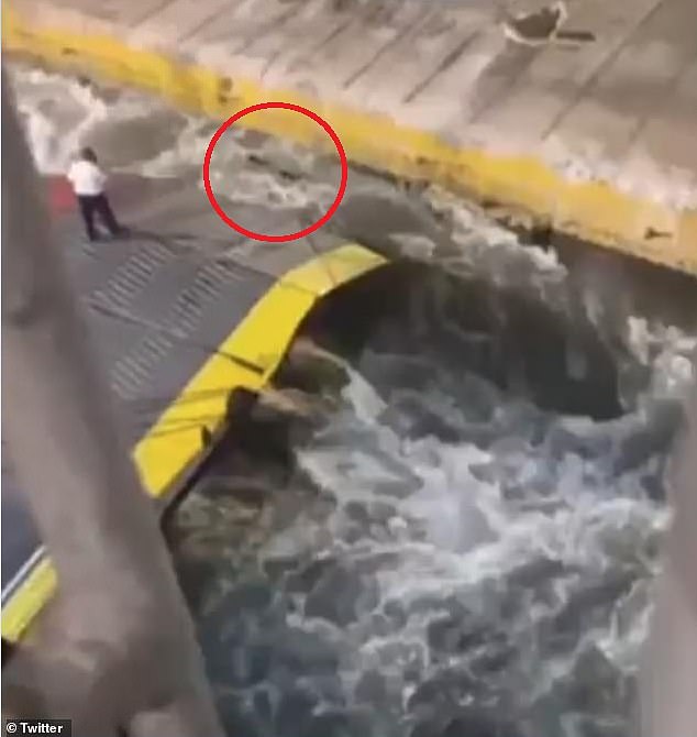 In a harrowing scene, the man, circled, loses his balance and topples into the churning sea where he fights to stay above the water
