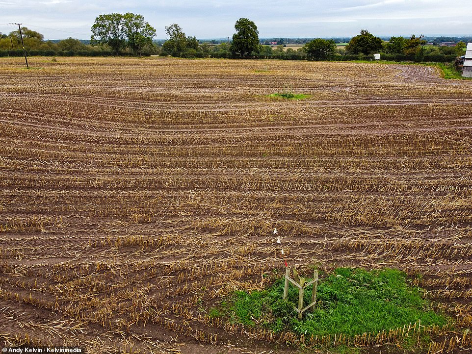 His farm was just 50 yards from the track and HS2 had even tested his land but recent developments mean it will stay under Phil's control