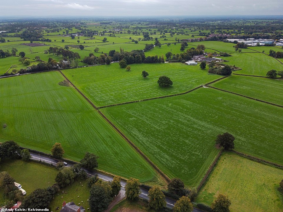 Further down the line, people living next to the route of the scrapped HS2 link to Manchester have welcomed the government's announcement