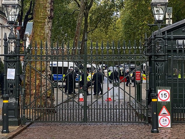 In a statement released on Friday, the Met said it is expecting 'another significant demonstration in central London organised by the Palestine Solidarity Campaign'