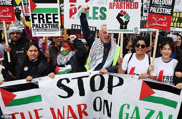 Protesters held placards, banners and even painted their faces in the colours of the Palestinian flag