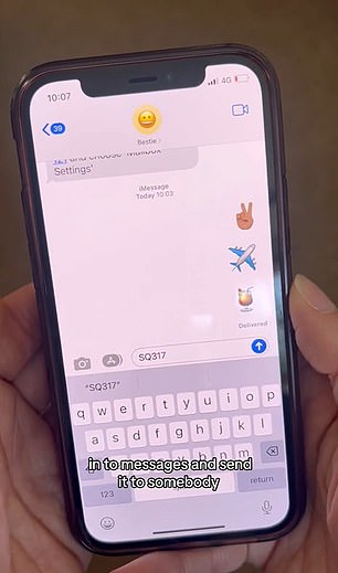 She said 'Just press preview flight to view. I find this so useful, especially if someone's picking me up and they can use it'