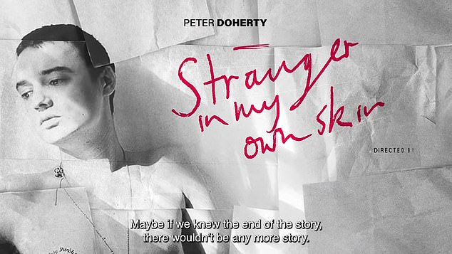 Shock: Peter Doherty: Stranger in My Own Skin is now in UK cinemas