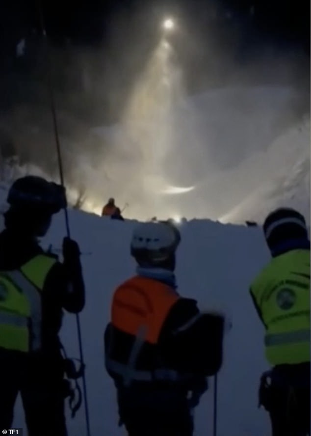 A search team of 30 rescuers, supported by two helicopters, two dogs and a medical support team, took up to five hours to find the mother and son