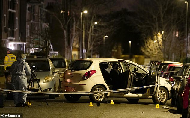 It is believed all but the first three victims were 'inadvertently' injured while rushing to the family's aid