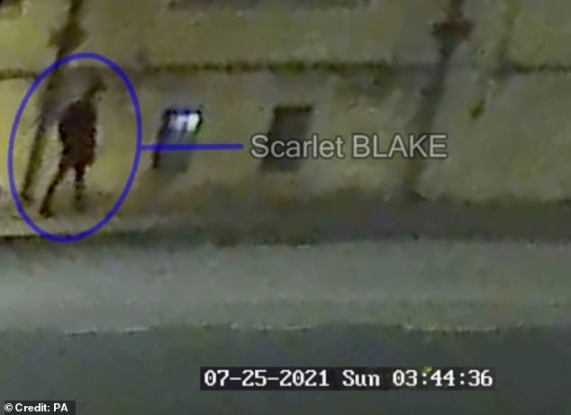 Jurors have been shown CCTV camera footage of Mr Carreno and Blake's movements around the city centre hours before his death