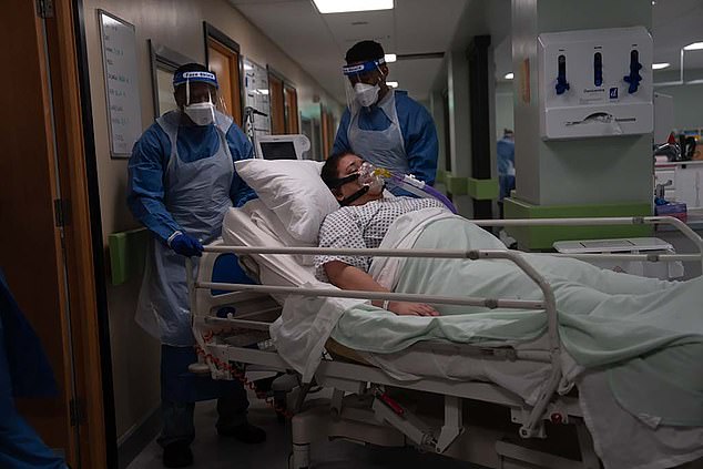 Later the same episode — the second to air — features an equally upsetting scene which TV critics have described as 'so realistic it will break your heart'. The first episode saw young healthcare assistant Divina start to show signs of having Covid when caring for patients. Minutes later, Divina – of an Hispanic background – is stretchered into her own ward (pictured) after deteriorating rapidly. She is whisked into intensive care and placed in an induced coma