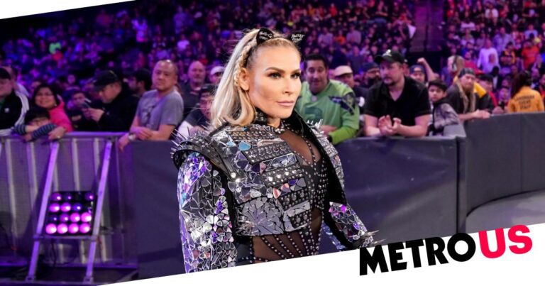‘Heartbroken’ Natalya apologises to WWE fans after difficult night