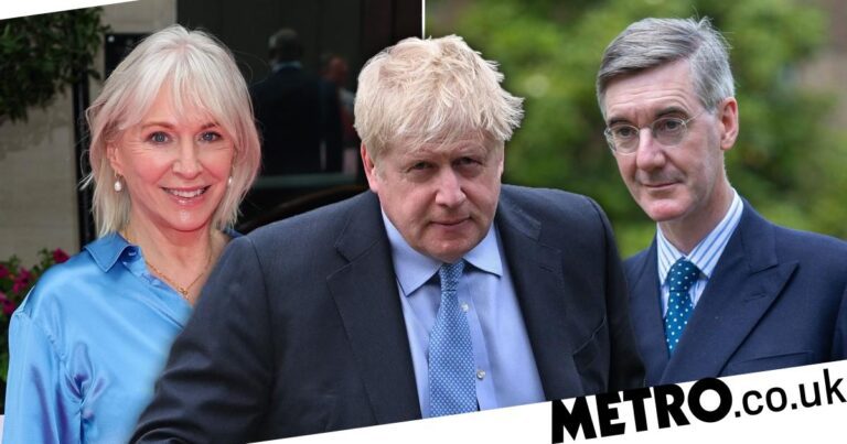 Jacob Rees-Mogg and Nadine Dorries undermined Partygate investigation | UK News
