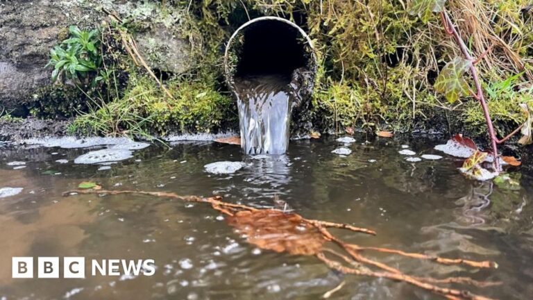 Welsh Water downgraded over sewage pollution by Natural Resources Wales