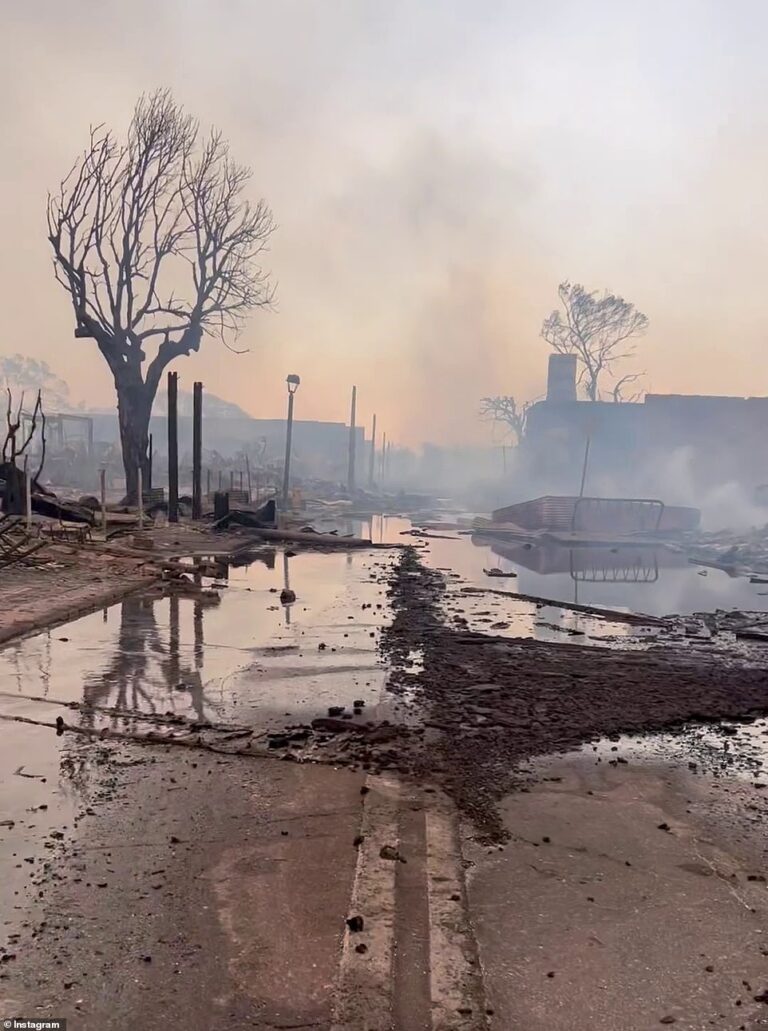 Death toll in Hawaii wildfires climbs to 36 after town ‘wiped off the map’ with 271 buildings torched to the ground as tourists are urged to leave, shelters run out of space and Biden sends in Black Hawks to help douse the flames