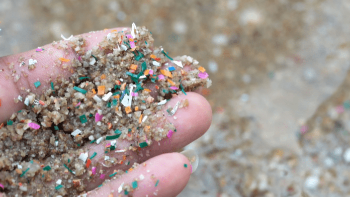 MICRO-PLASTICS-VT-ALEX-TOMO-1920x1080.png