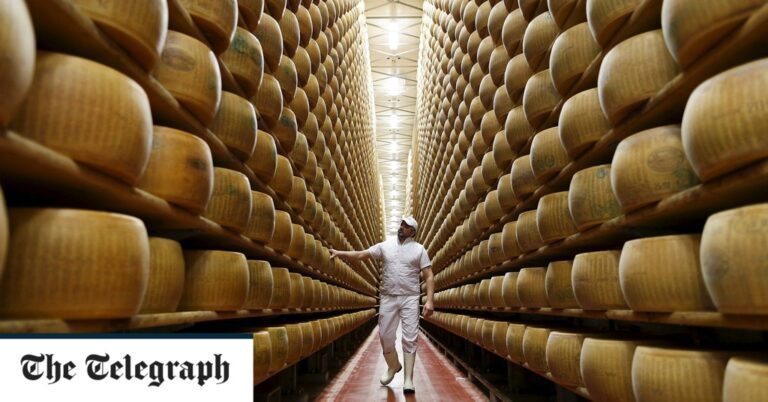 Italy microchips authentic parmesan cheese, Parmigiano Reggiano, in bid to fight off fake versions