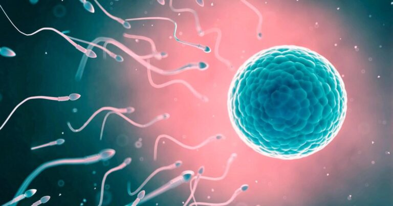 AI sperm finder could help you have a baby, even if you’re infertile | Tech News