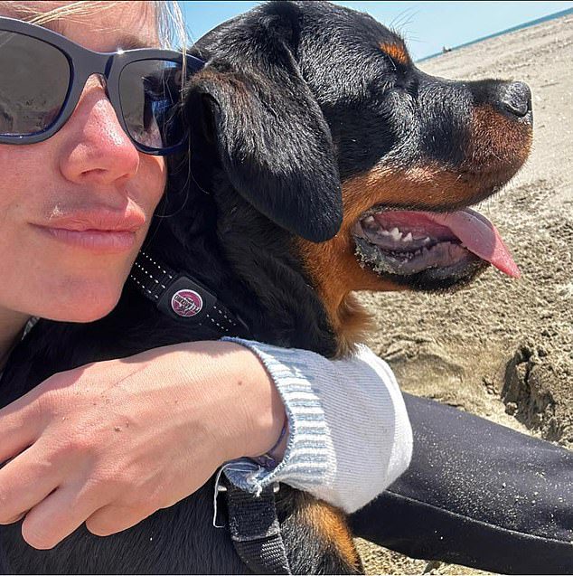 Pregnant woman ‘is severely injured by falling rottweiler’: Mother-to-be is in a serious condition after dog tumbles from third-floor window, causing victim to suffer injuries