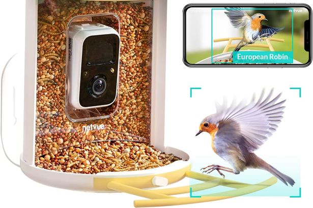 I've found Amazon's best smart bird feeder deals – and the prices start at £23.89 I've found Amazon's best smart bird feeder deals – and the prices start at £23.89
