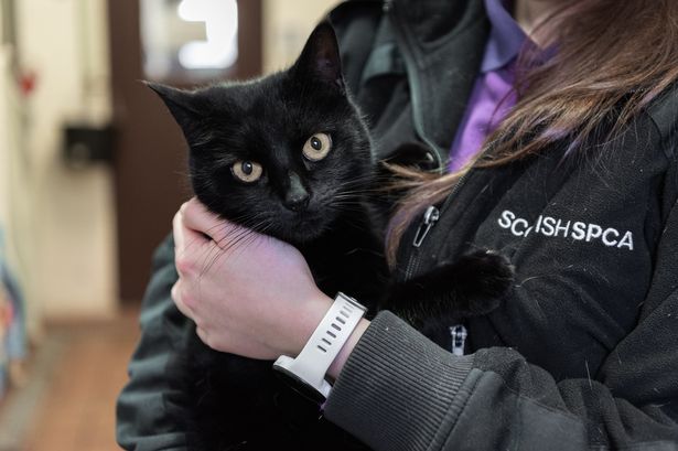 Lanarkshire animal lovers can donate food to Scottish SPCA's Christmas wish list