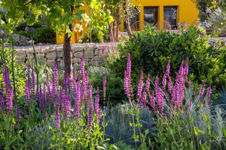 Gardening expert revels the trend you need to know for the new year