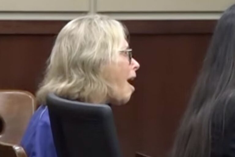 Donna Adelson: Mother accused of murder plot with son puts on shrieking show in court