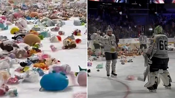 Stuffed animals rain on ice hockey players in annual teddy bear toss | Sport