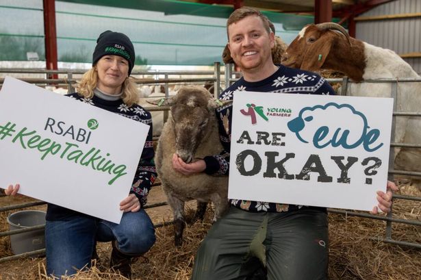 World's loneliest sheep rescued from Scots cliff after two years fronts mental health campaign