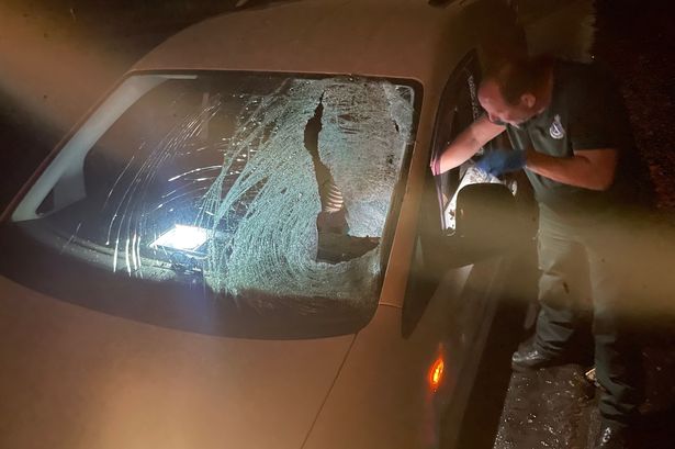 Husband feared wife 'was dead' after plant pot launched off bridge smashed through car