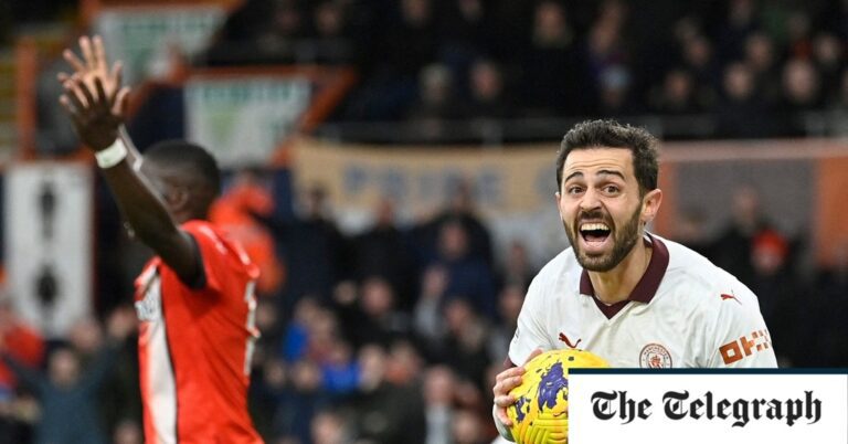 Bernardo Silva to the rescue as Manchester City survive Luton scare Bernardo Silva to the rescue as Manchester City survive Luton scare
