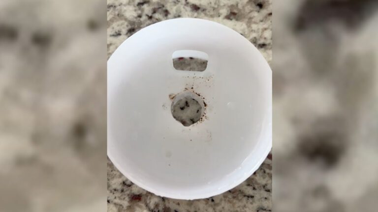 You’re not cleaning a key part of your Stanley water bottle – there was so much hidden mold in mine, it was filthy You’re not cleaning a key part of your Stanley water bottle – there was so much hidden mold in mine, it was filthy