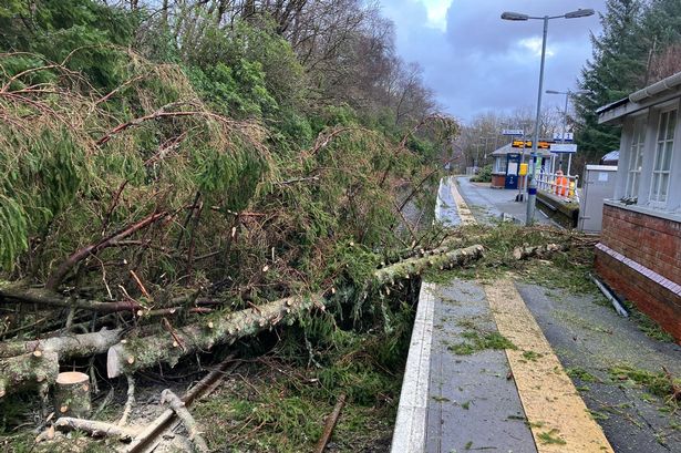 Storm Isha in pictures as Scotland battered by high winds and heavy rain