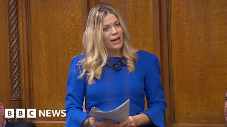 MP urges social media ban for under 16s