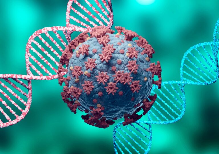 The human race now relies on an ancient virus that infected our DNA The human race now relies on an ancient virus that infected our DNA