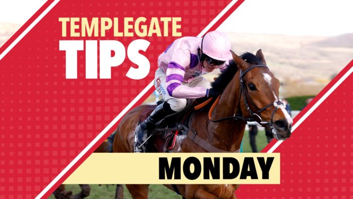 TB-COMBO_TEMPLEGATE-TIPS-MON-1.jpg