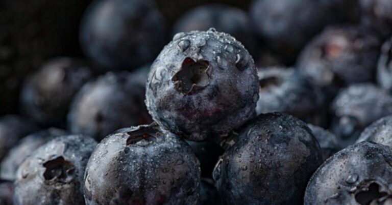 At last – we finally know why blueberries are blue | Tech News At last – we finally know why blueberries are blue | Tech News