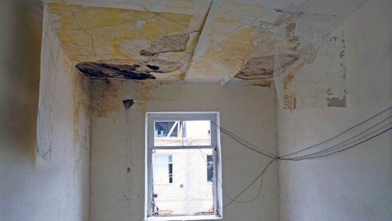 ‘No more condensation’ praise Aldi shoppers flocking to buy mould-fighting bargain for under £5 – it’s cheapest around ‘No more condensation’ praise Aldi shoppers flocking to buy mould-fighting bargain for under £5 – it’s cheapest around