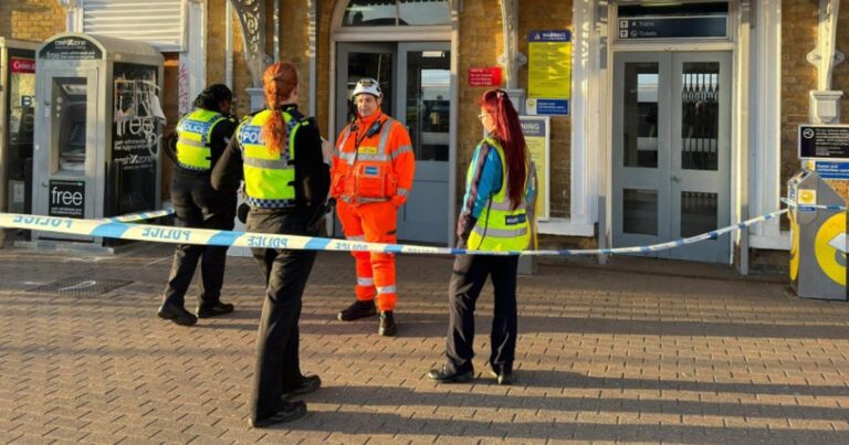 Beckenham stabbing: Man fighting for life after train attack | UK News