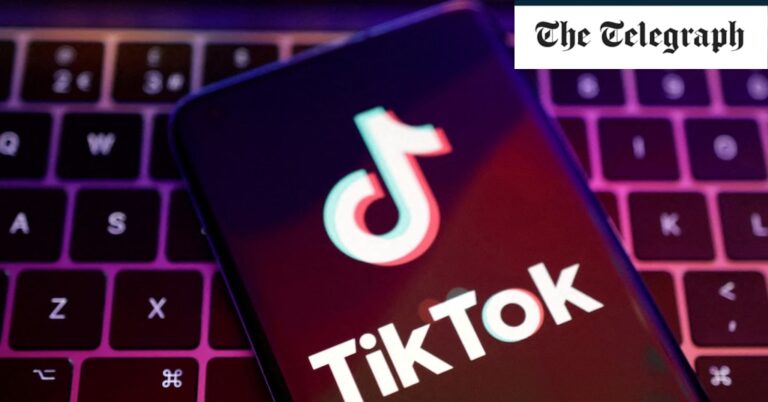 China lashes out at US over attempts to force sale of TikTok’s American operations