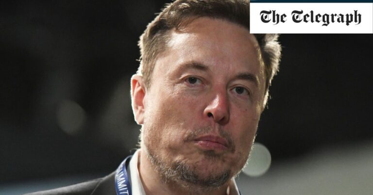 Tesla sales slump wipes $35bn off Elon Musk’s electric car giant